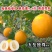 五岳独尊甜瓜种子甜瓜香瓜久红瑞黄皮白肉四季播菜园超甜水果