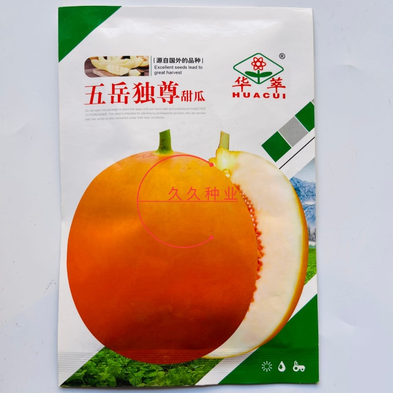 五岳独尊甜瓜种子甜瓜香瓜久红瑞黄皮白肉四季播菜园超甜水果