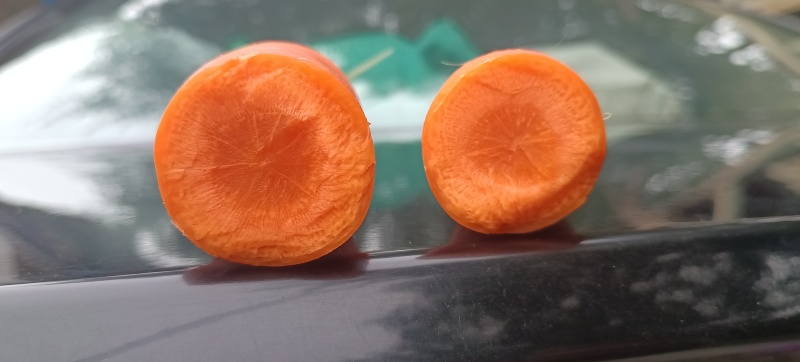 【精品】优质胡萝卜大量供应保质保量价优可视频看货