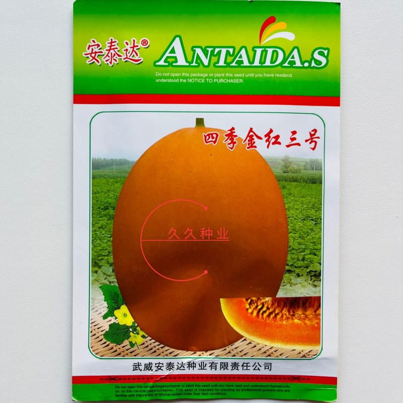 四季金红三号甜瓜种子椭圆果金黄皮桔红肉香瓜哈密瓜种籽洋香