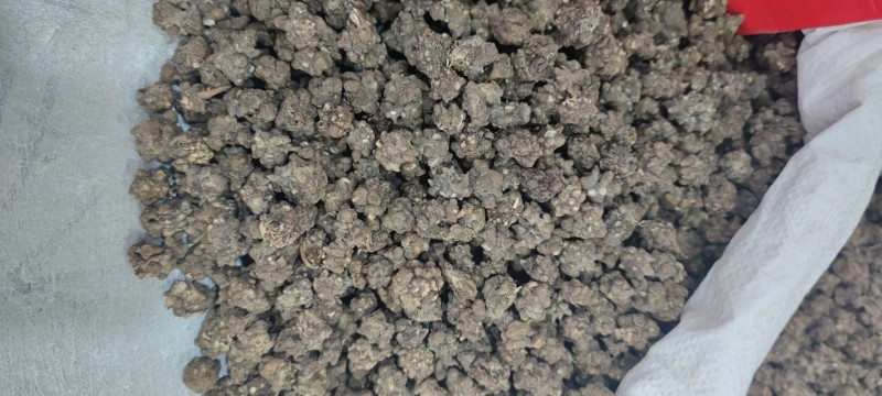 水洗猫爪草批发各种中药材新货各种中药材