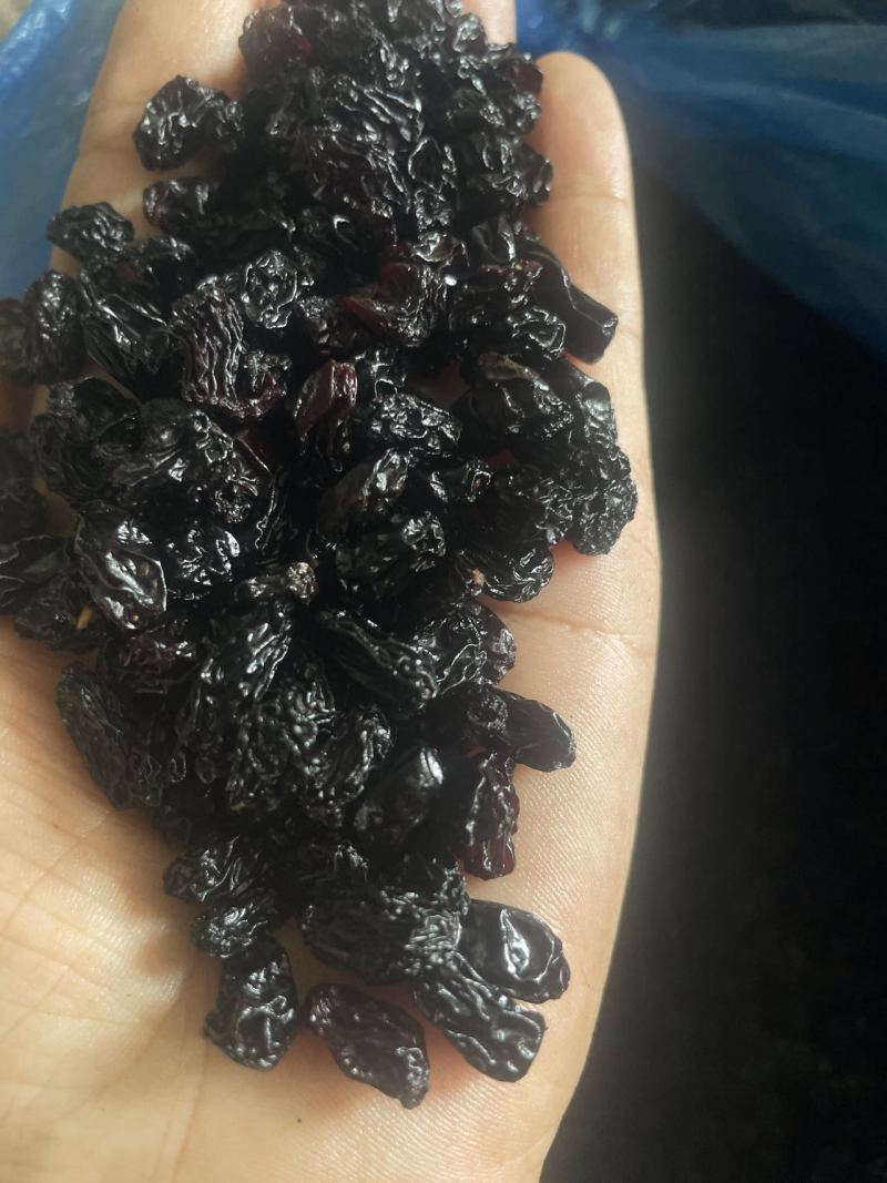 小颗粒黑加仑葡萄干蓝莓干蓝莓豆20斤装