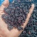 小颗粒黑加仑葡萄干蓝莓干蓝莓豆20斤装