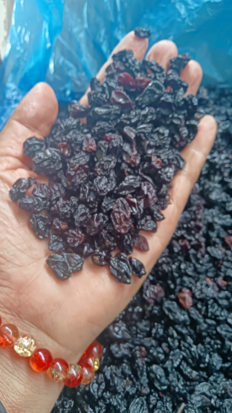 小颗粒黑加仑葡萄干蓝莓干蓝莓豆20斤装