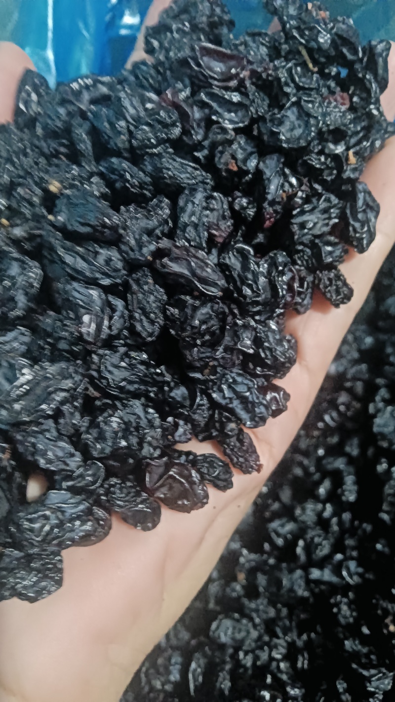 小颗粒黑加仑葡萄干蓝莓干蓝莓豆20斤装