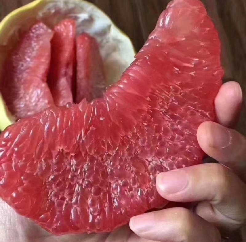 蜜柚，三红柚，白柚，湖北蜜柚，套袋果园直发，果好价美