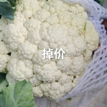 菜花