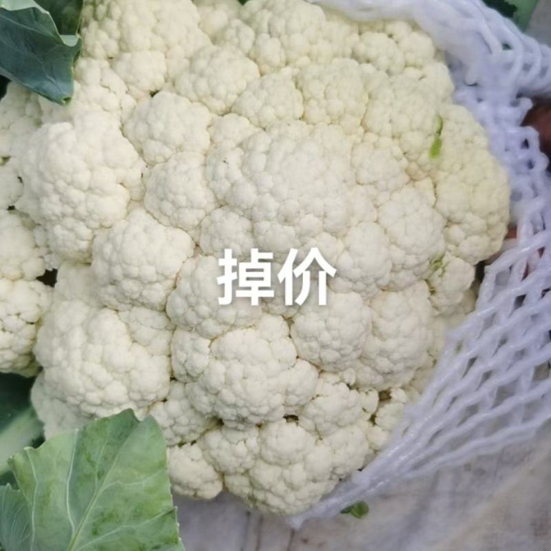 菜花