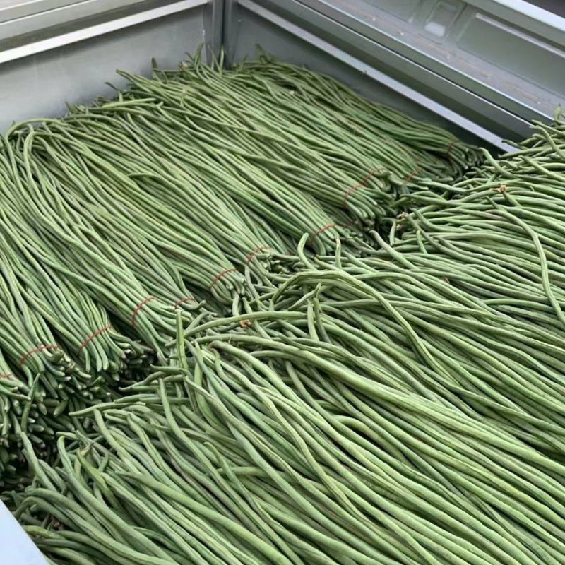 精品长豆角，对接各大批发市场以及商超和电商平台