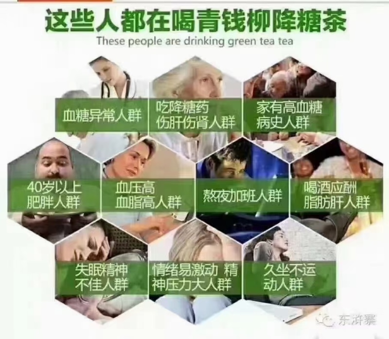 青钱柳茶，大山深处有机保健茶，一手货源，物美价廉哟