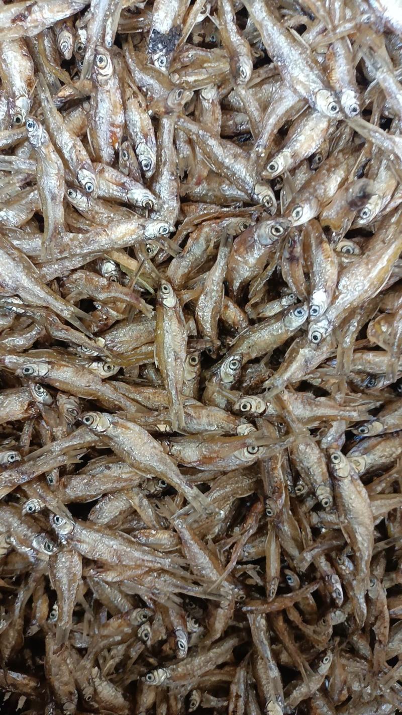 小白条鱼干