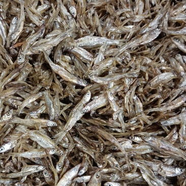 小白条鱼干