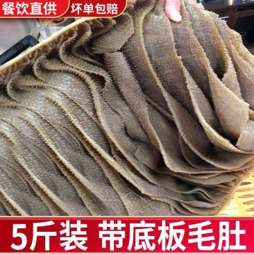 【包邮】新鲜火锅食材整块带底板毛肚5斤牛毛肚整个