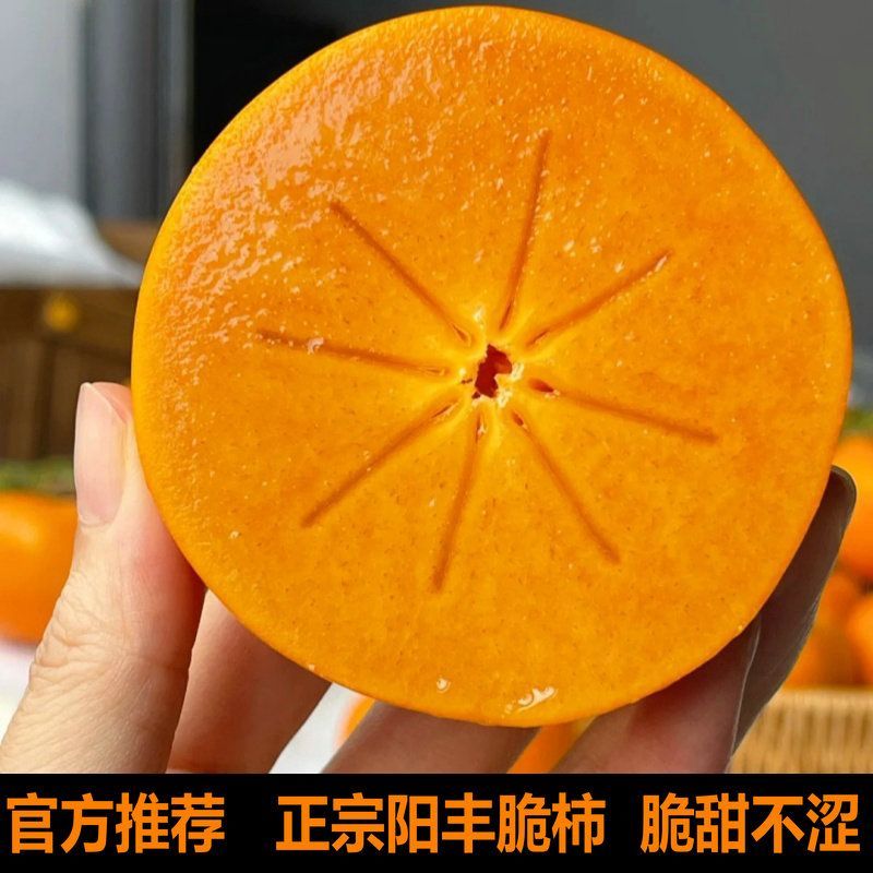 山西阳丰脆皮甜柿子（产地直发，自家果园）