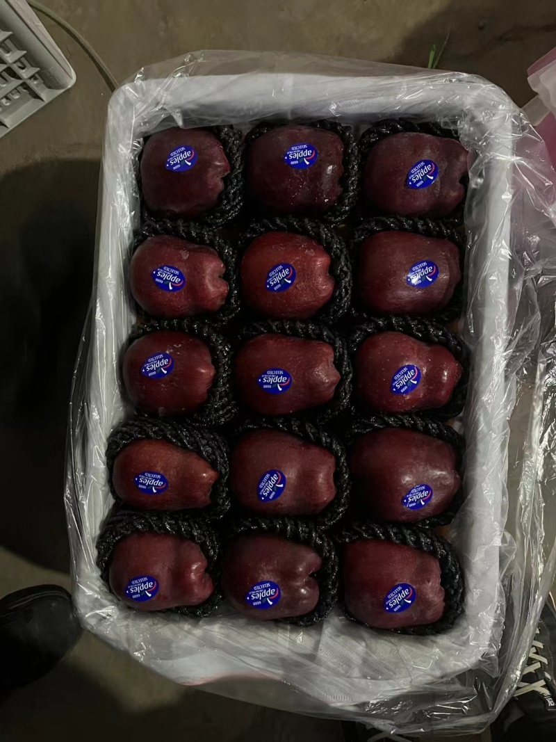 甘肃秦安高山精品花牛
