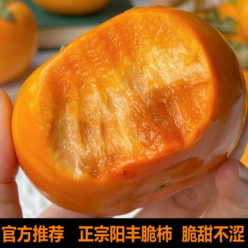 山西阳丰脆皮甜柿子（自家果园，产地直发）