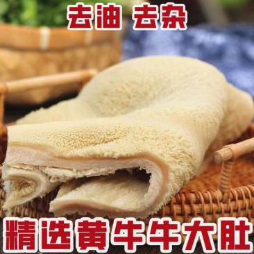 包邮）五斤熟黄牛肚整块大肚商用火锅食材毛肚火锅牛肚