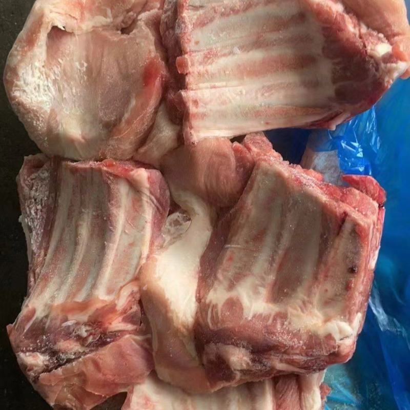 多肉猪小排大量有货厂家直供价格美丽电联详谈