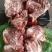 多肉猪小排大量有货厂家直供价格美丽电联详谈