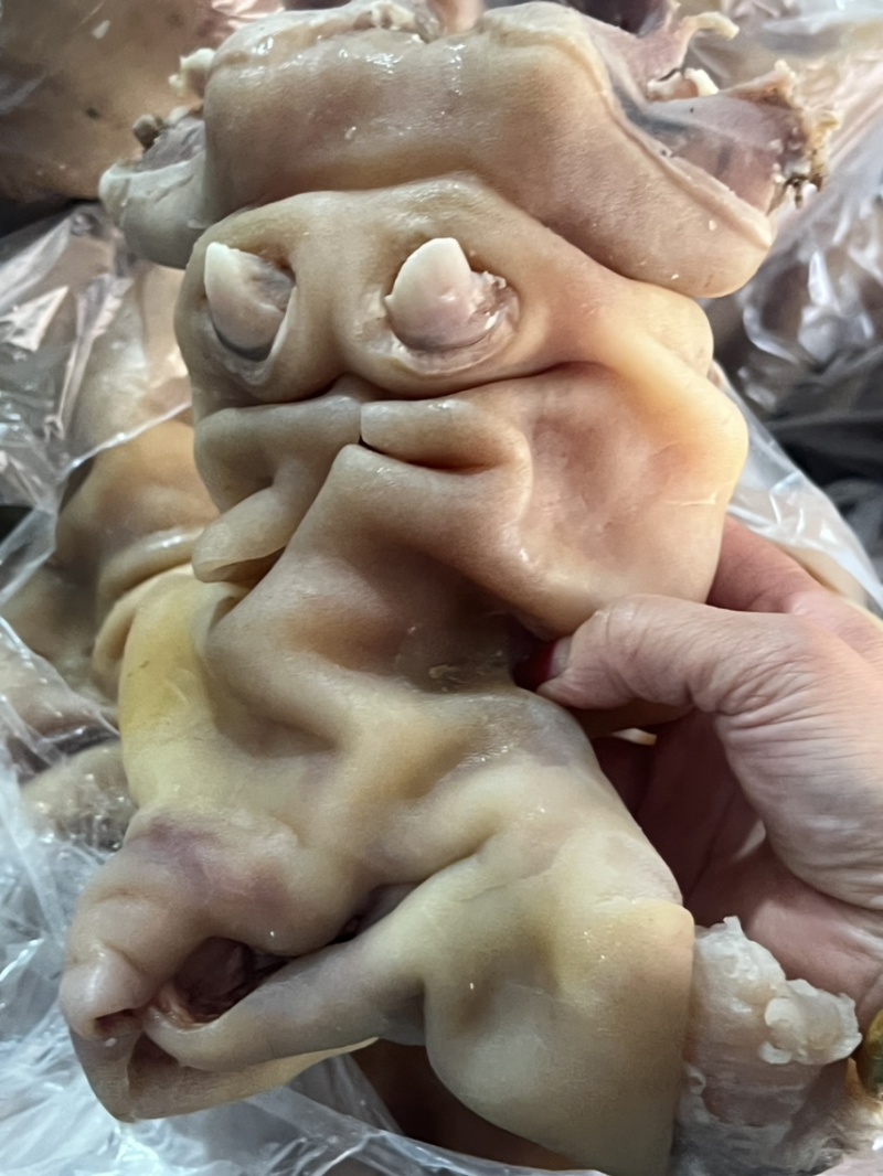 去骨熟牛蹄筋，适合凉拌