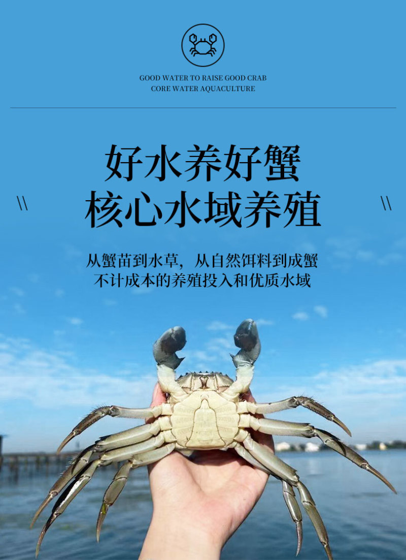 活蟹礼盒装苏州阳澄湖大闸蟹10只装公母搭配可选全母蟹