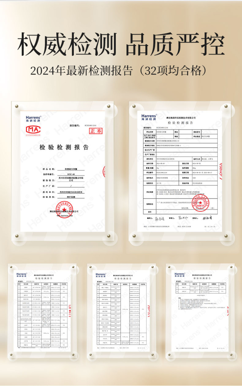 活蟹礼盒装苏州阳澄湖大闸蟹10只装公母搭配可选全母蟹