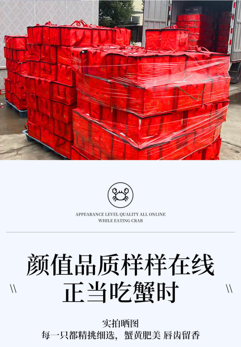 活蟹礼盒装苏州阳澄湖大闸蟹10只装公母搭配可选全母蟹