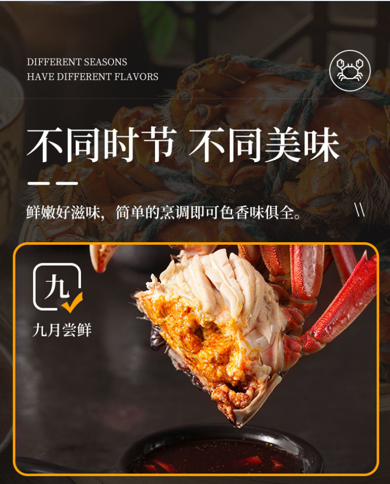 活蟹礼盒装苏州阳澄湖大闸蟹10只装公母搭配可选全母蟹
