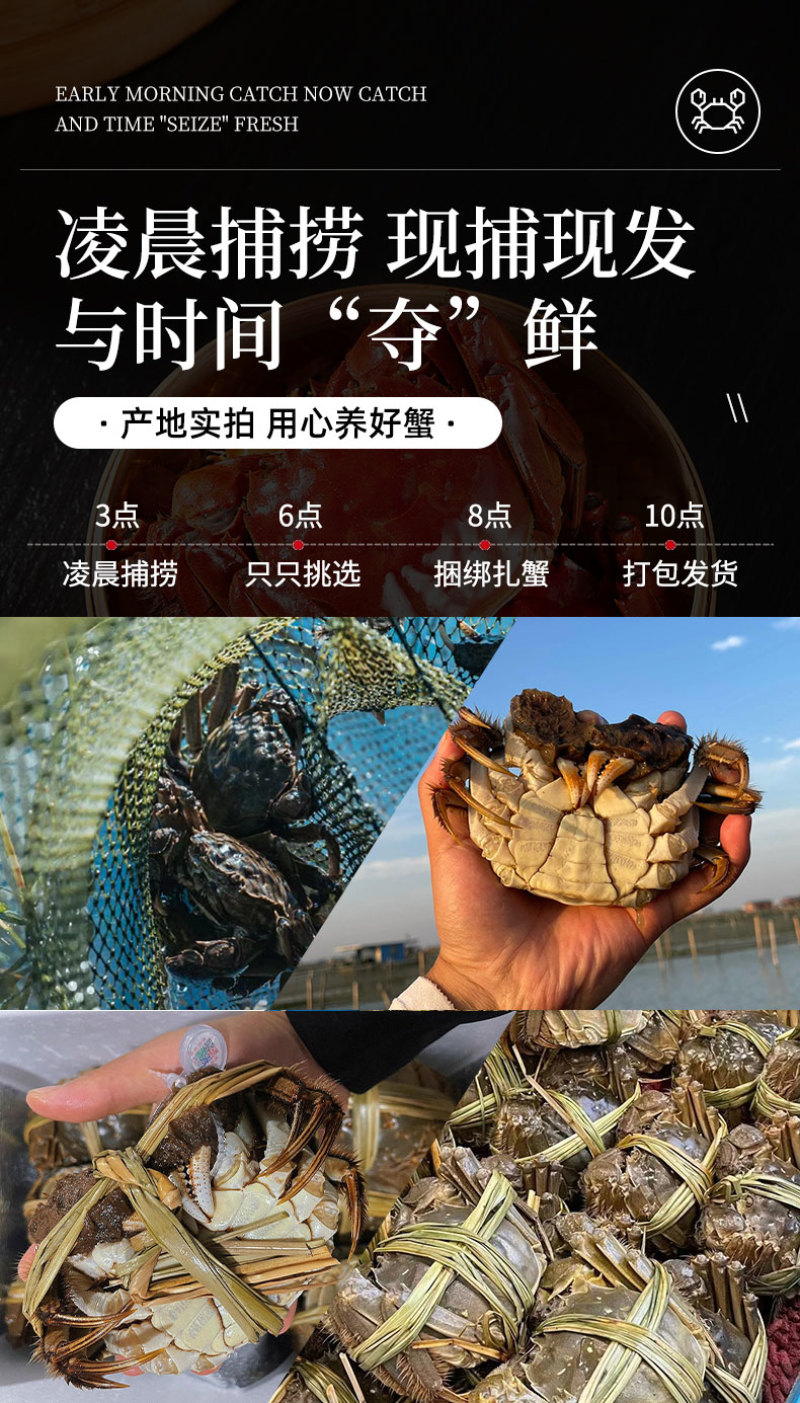 活蟹礼盒装苏州阳澄湖大闸蟹10只装公母搭配可选全母蟹