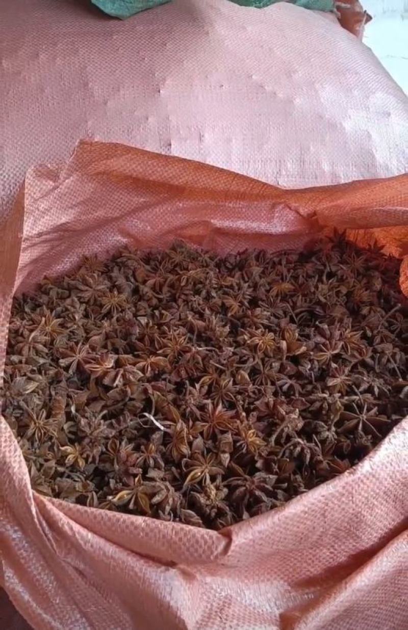 广西大红八角。晒干，农户源头。