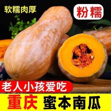 重庆蜜本南瓜新鲜农家自种甜南瓜方便甜糯速食好吃包邮