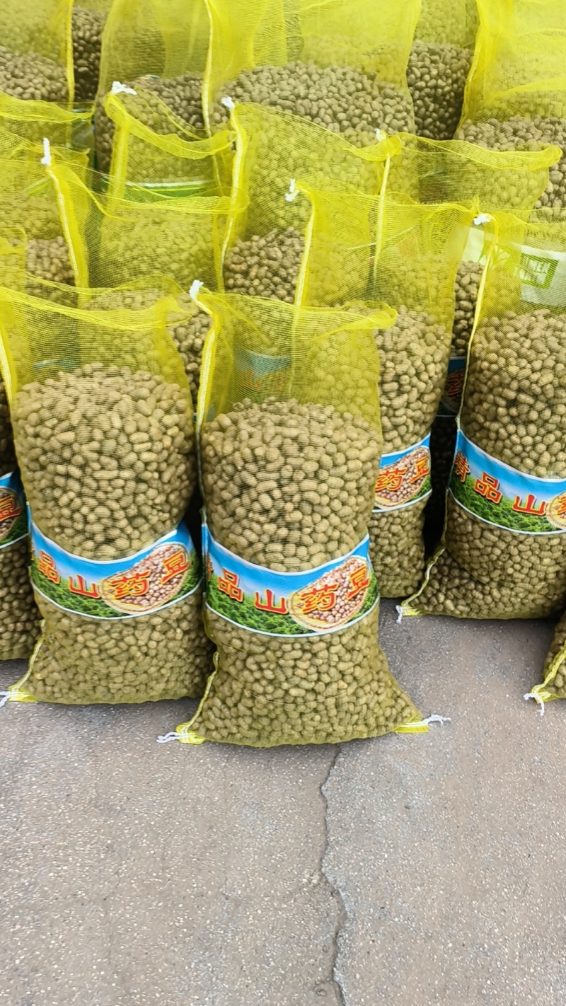 山药豆精挑细选1.3公分以上大山药豆价格优惠全国批发