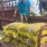 山药豆精挑细选1.3公分以上大山药豆价格优惠全国批发
