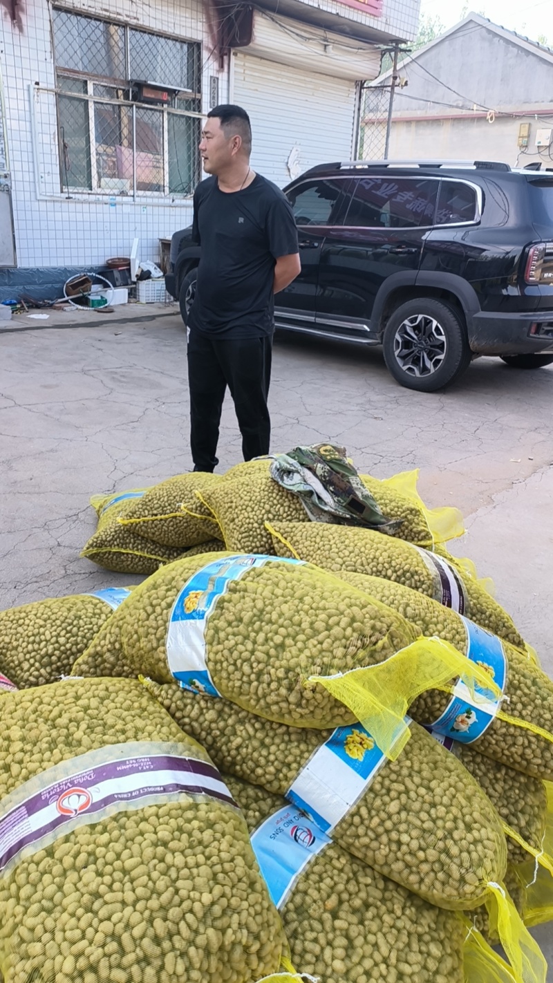 山药豆精挑细选1.3公分以上大山药豆价格优惠全国批发