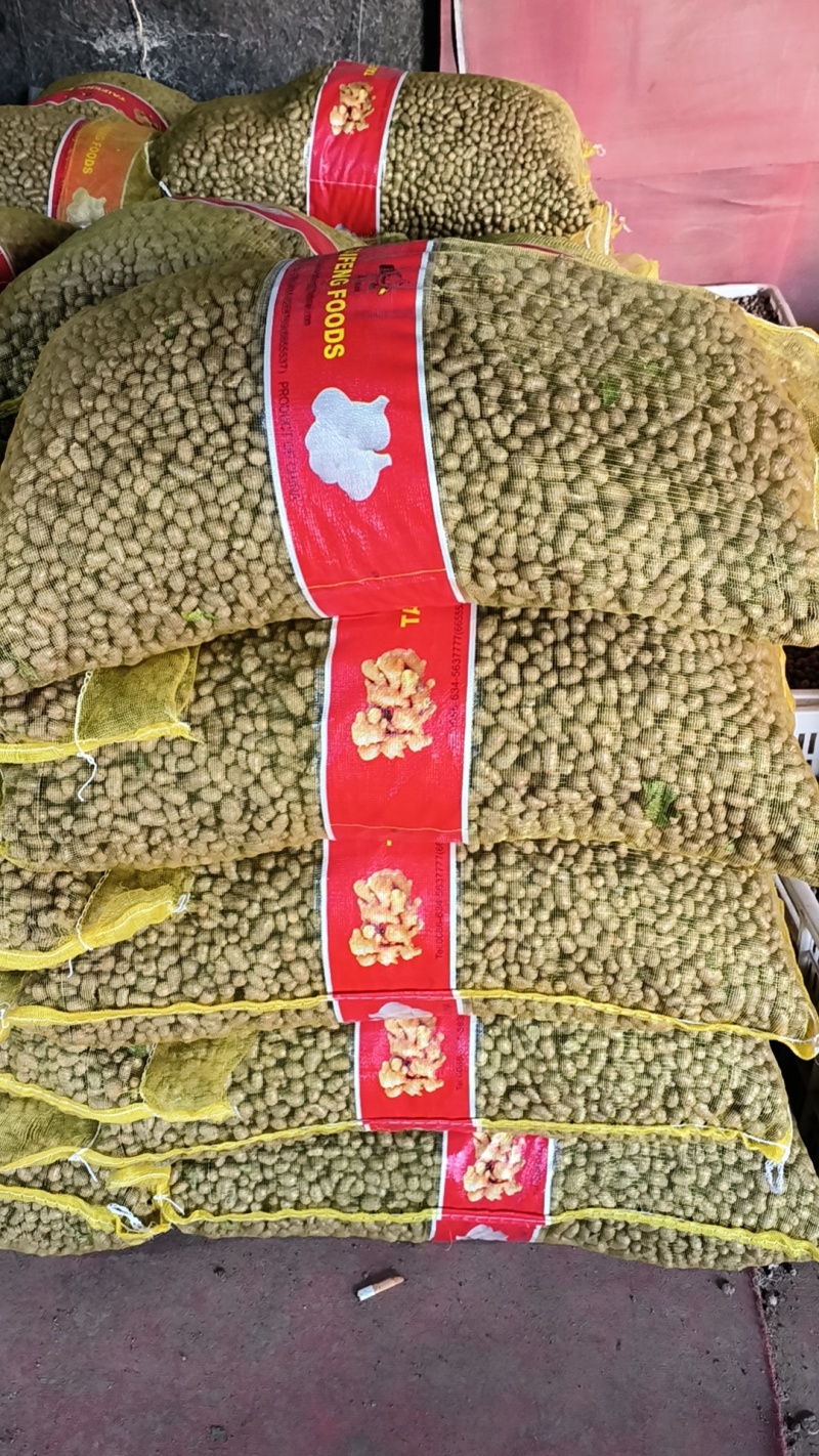 山药豆精挑细选1.3公分以上大山药豆价格优惠全国批发