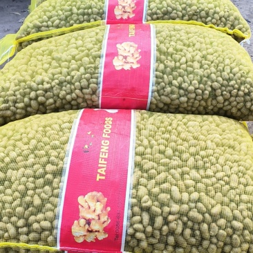 山药豆精挑细选1.3公分以上大山药豆价格优惠全国批发