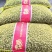 山药豆精挑细选1.3公分以上大山药豆价格优惠全国批发