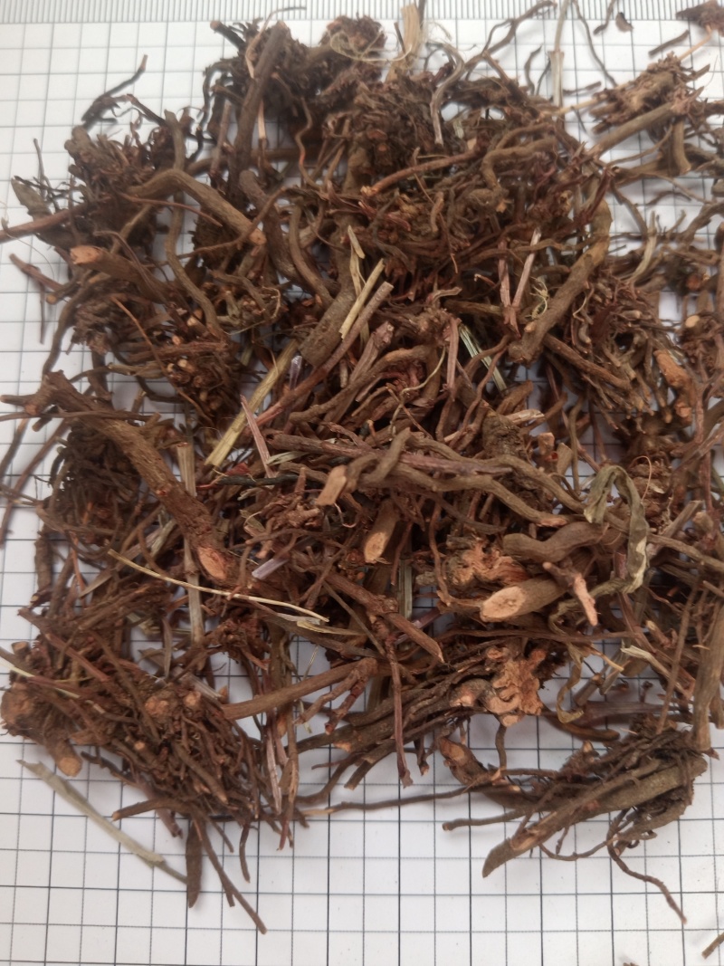 红茜草，红茜草个，自己家个子加工新货无硫现货24小时内发