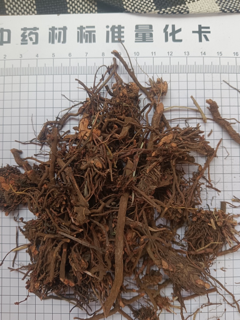 红茜草，红茜草个，自己家个子加工新货无硫现货24小时内发