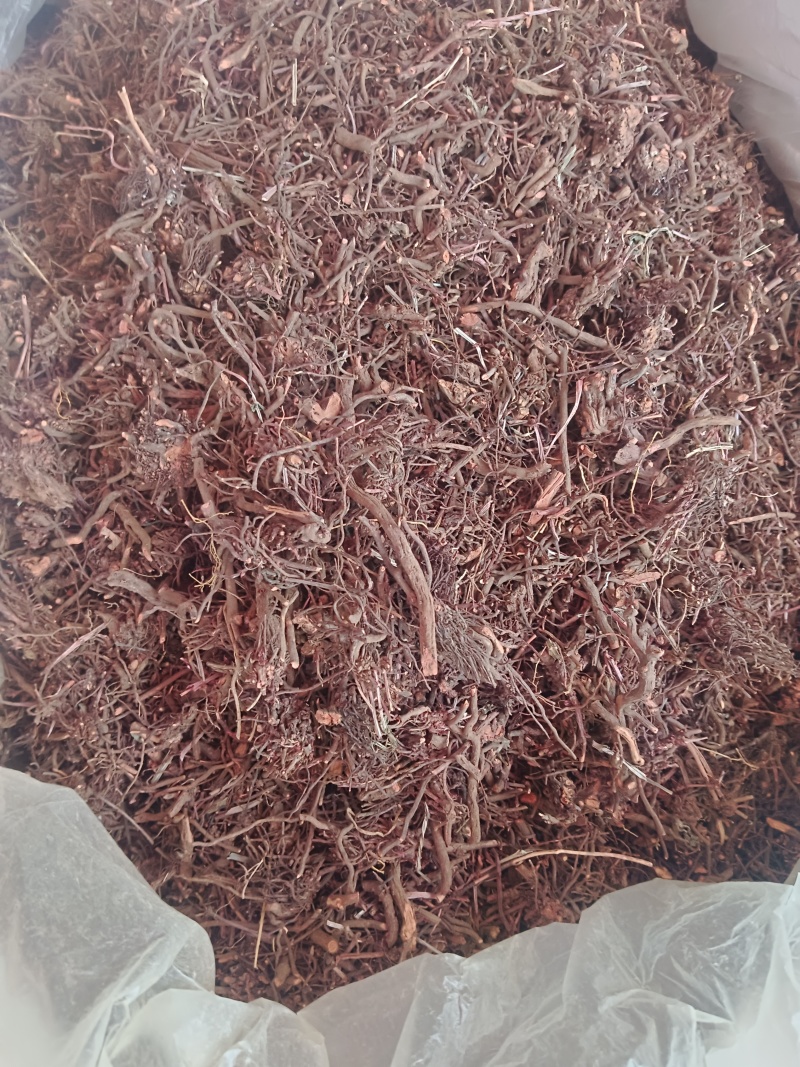 红茜草，红茜草个，自己家个子加工新货无硫现货24小时内发