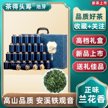 2024新茶铁观音秋茶安溪茶叶浓香一级铁观音兰花香高档