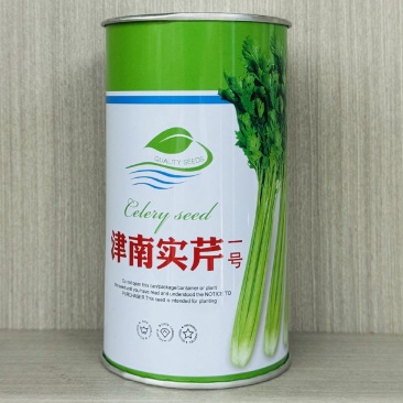 津南实芹一号芹菜种子晚抽薹耐寒高产量实心芹菜籽四季播小香