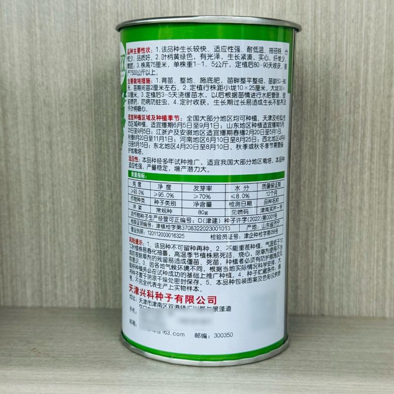 津南实芹一号芹菜种子晚抽薹耐寒高产量实心芹菜籽四季播小香