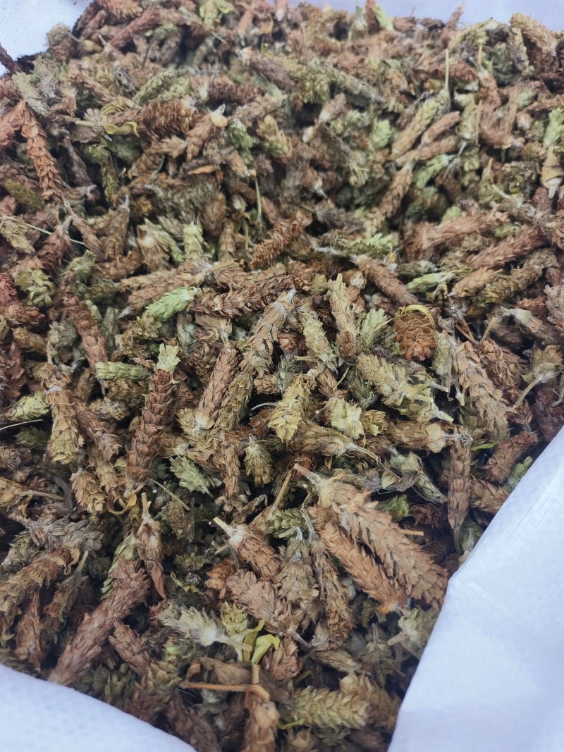 夏枯球，人工挑选穗头，颜色靓丽，产地直发，欢迎批发零售！