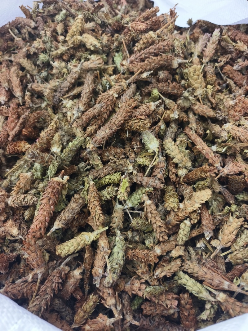 夏枯球，人工挑选穗头，颜色靓丽，产地直发，欢迎批发零售！