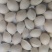 新鲜白果，营养丰富，健康美味！