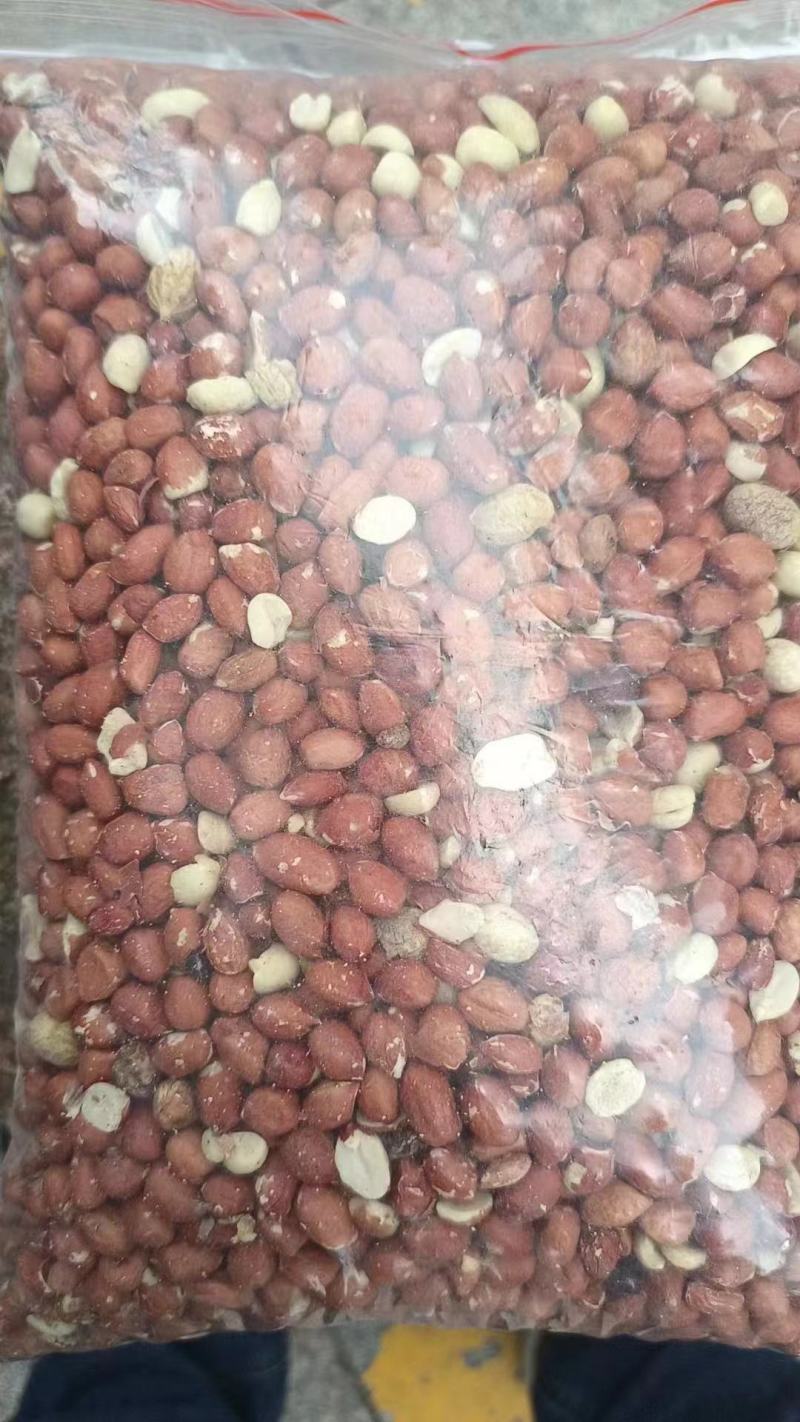 苏丹花生米