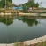 草鱼大量上市养殖基地发货量大质优量大可免费送货