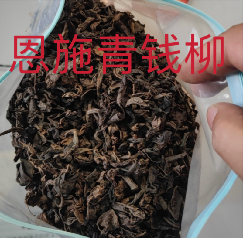 恩施富硒青钱柳