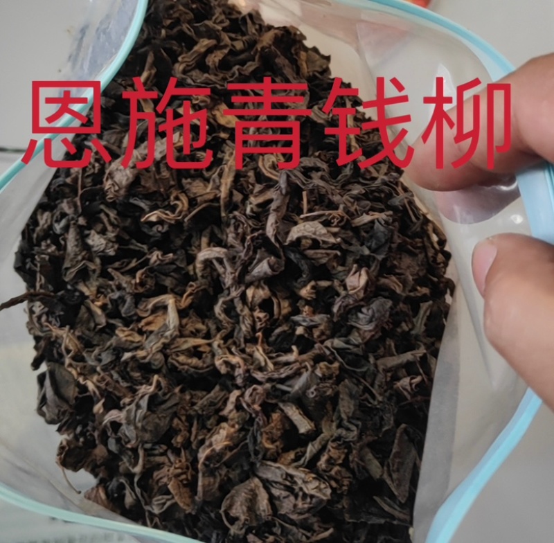 恩施富硒青钱柳